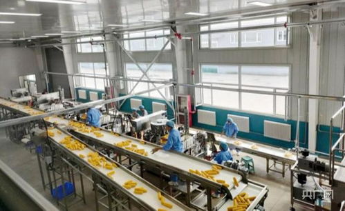 鲜食玉米入选“国字号”名录 色选机赋能安图特色产业升级